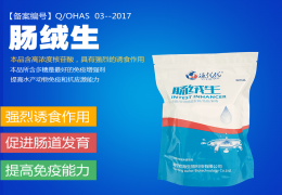肠绒生