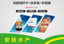 保肝护胆