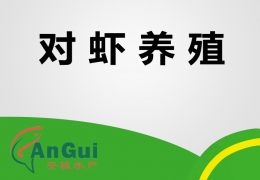 对虾养殖
