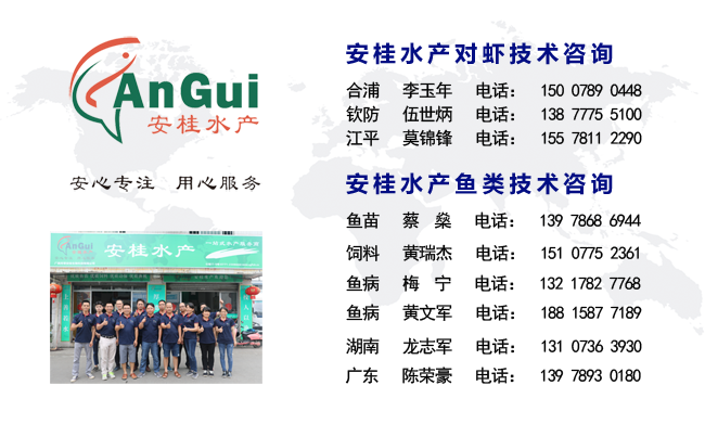 公众号底部的人员联系方式.png