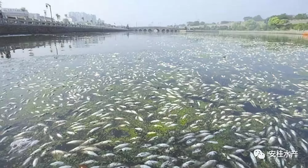 微信图片_20180921083144.png