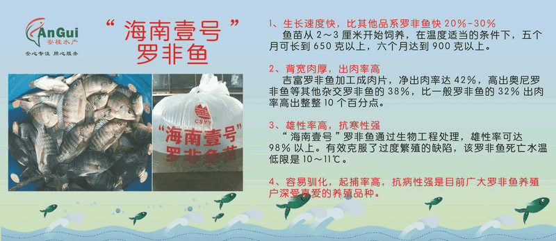 海南壹号.gif