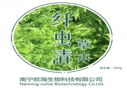 草本纤虫清