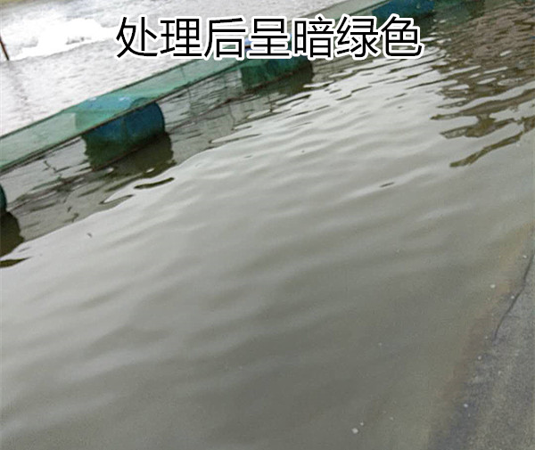 处理蓝藻之后照片2_副本.jpg