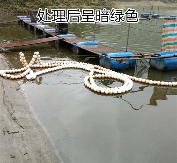 处理蓝藻之后照片3_副本.jpg