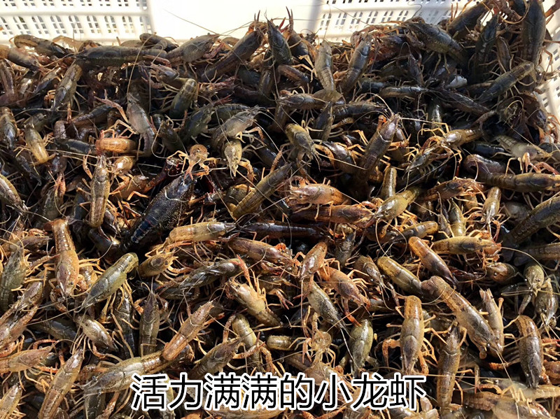 微信图片_20190513144639_副本.jpg