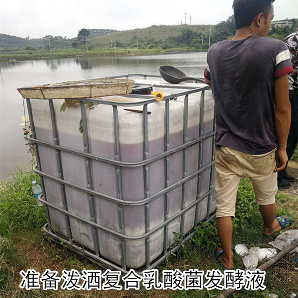 微信图片_20190516084155_副本_副本.jpg