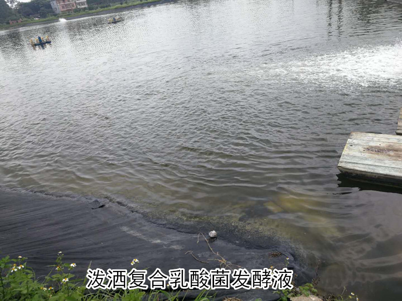 微信图片_20190516084157_副本.jpg