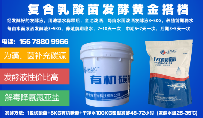 复合乳酸菌发酵黄金搭档.png
