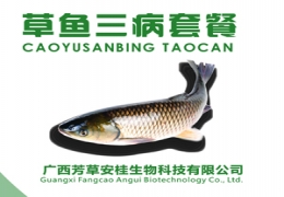 草鱼三病套餐