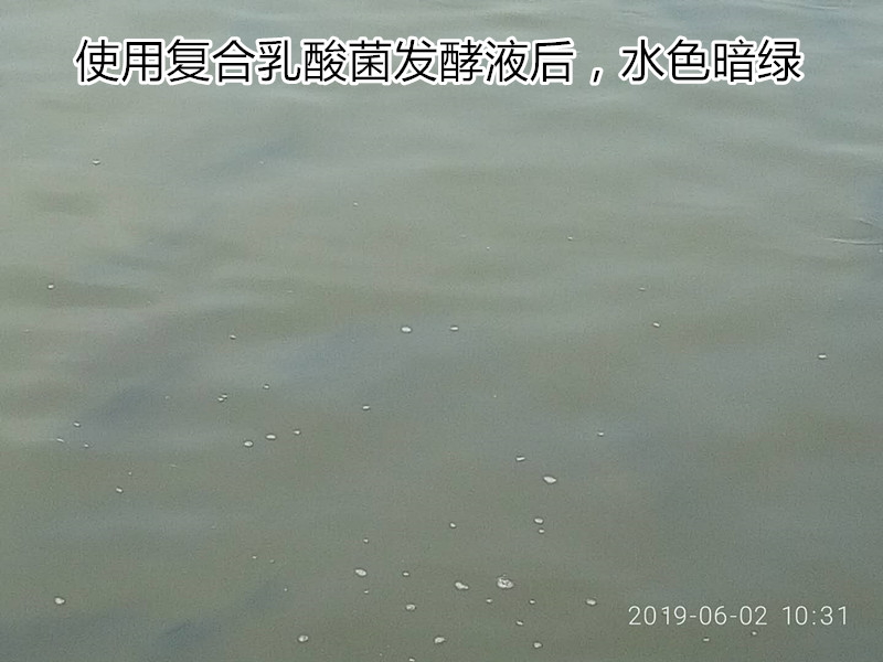 微信图片_20190610123534_副本.jpg