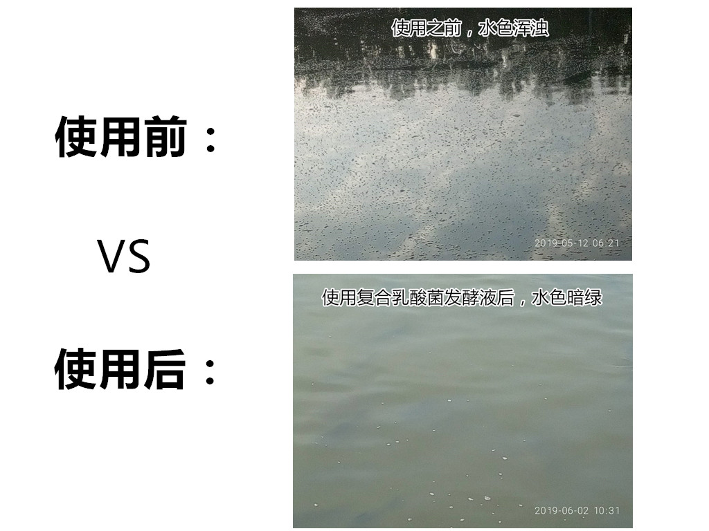 微信图片_20190610123628_副本_副本.jpg