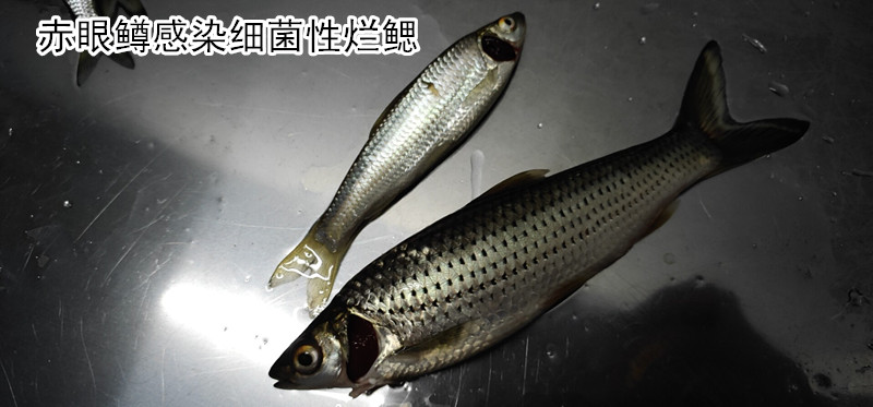 微信图片_20190621084103_副本.jpg