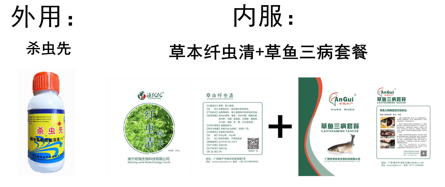 杀虫先222_副本.jpg