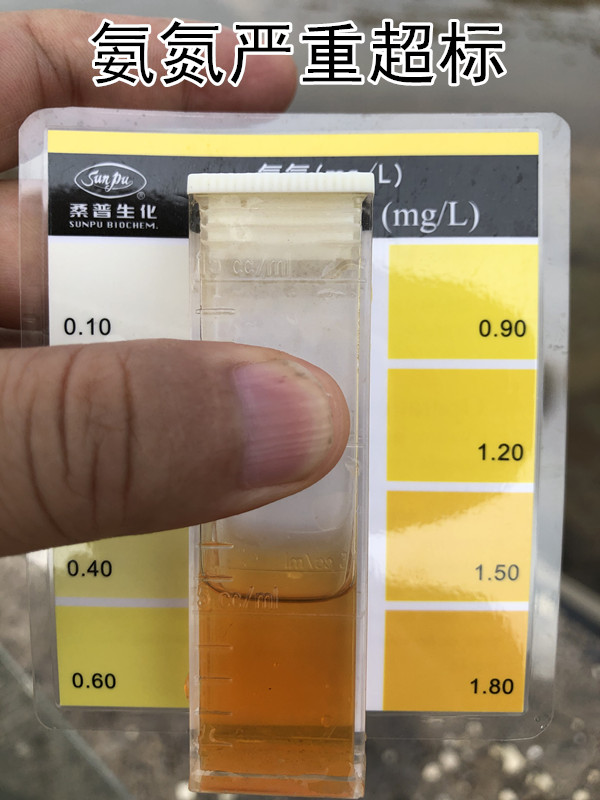 微信图片_20190719091344_副本.jpg