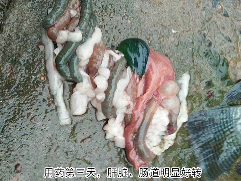 图片4_副本.png
