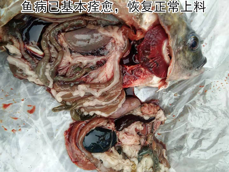 图片5_111副本.png