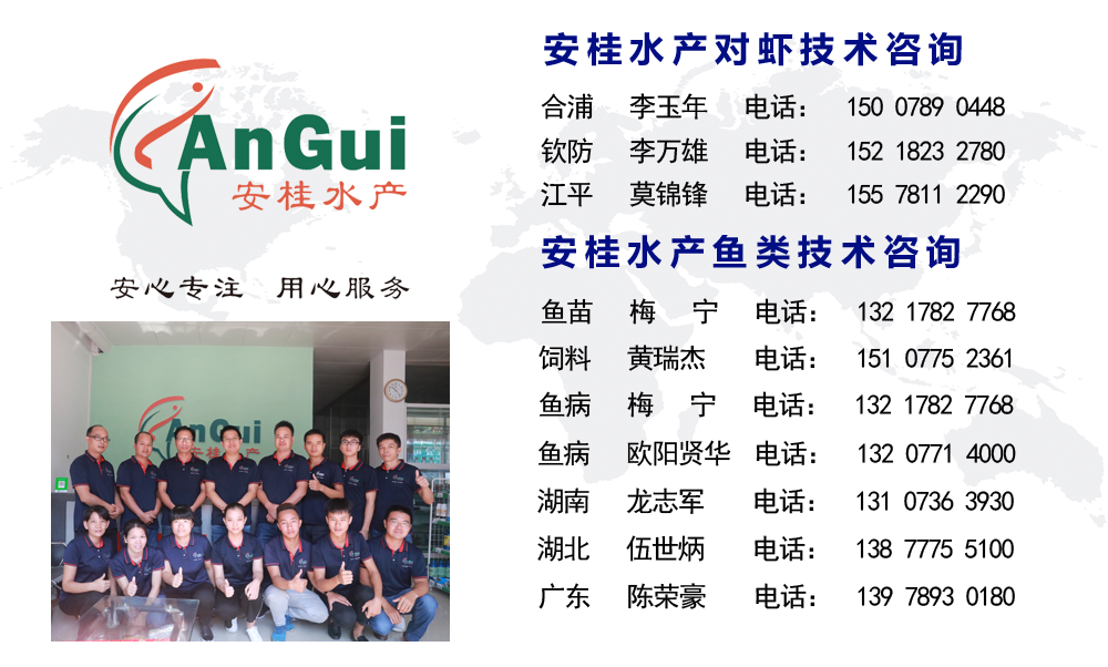 公众号底部0506修改版.png