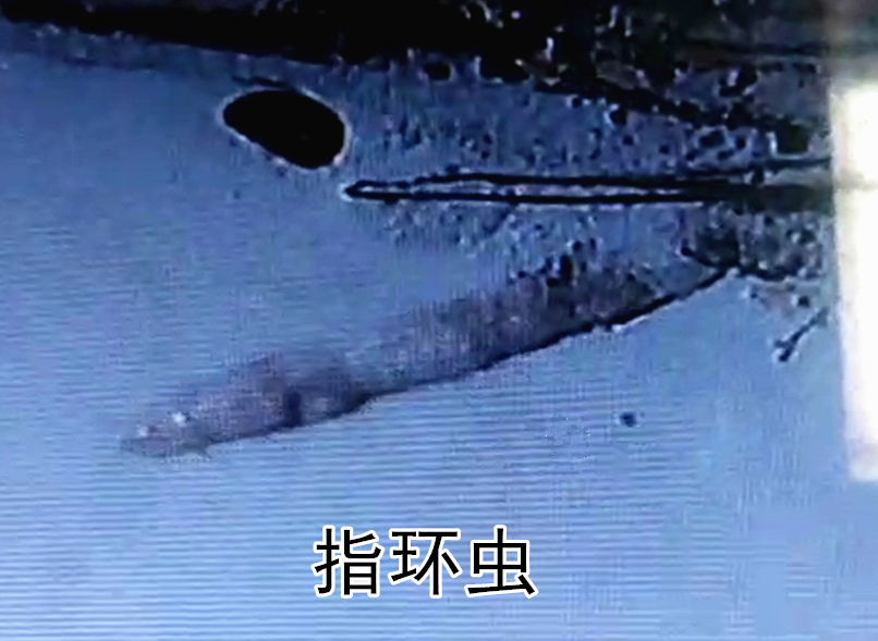 1571656254(1)_副本.png